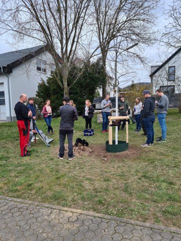 Rolles_Apfelbaum_2022 (2)